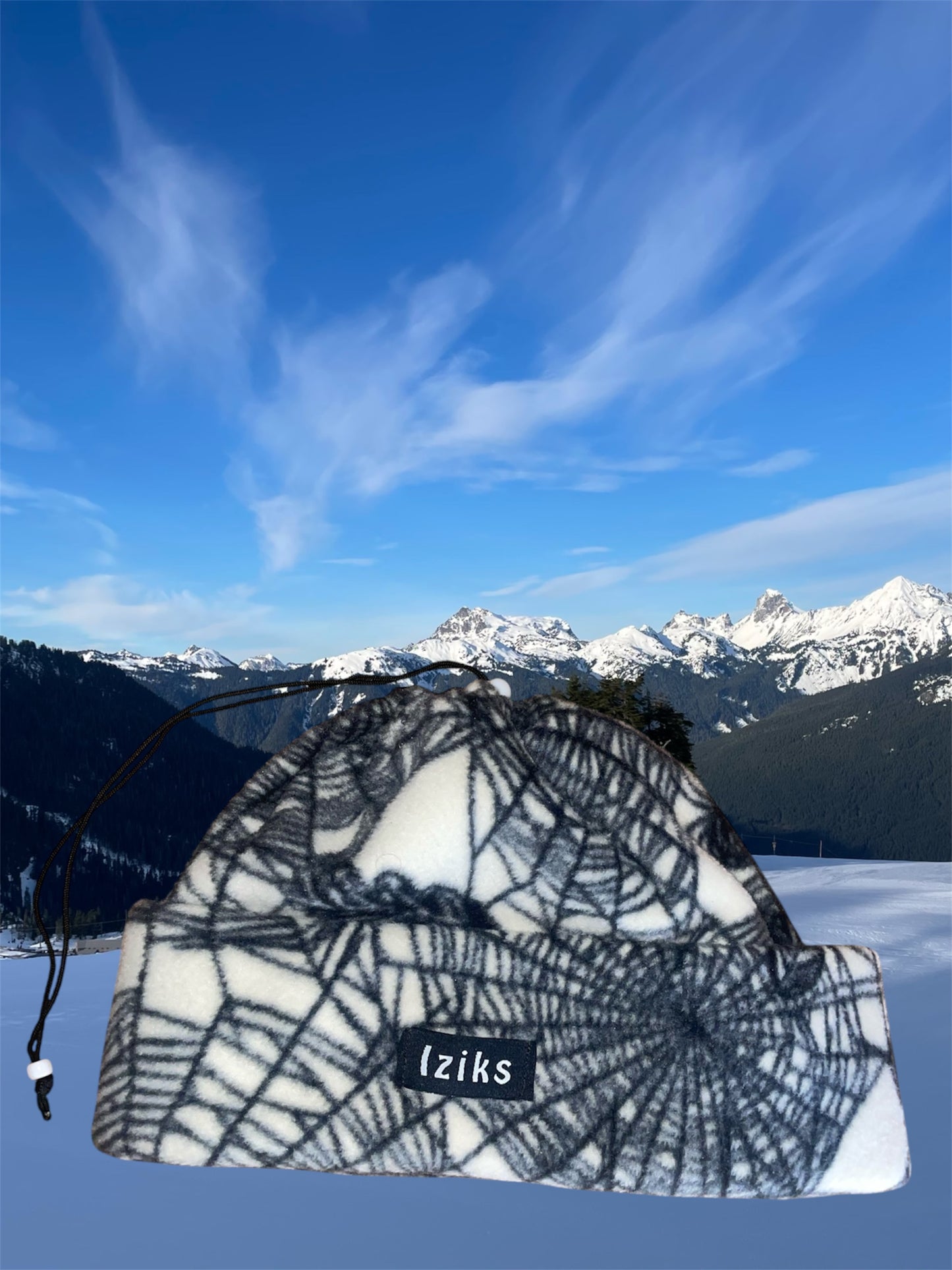 SOLD Spider Web Fleece Beanie